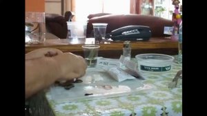 Как реанимировать посадочный лист фиалки