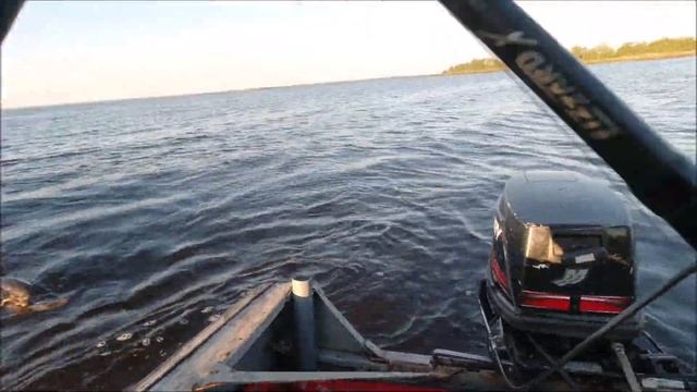 Big Miuras Mouse и варианты тюнинга. Ловля на Мышку! смотреть онлайн