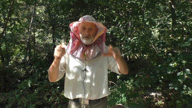 объединение ПЧЁЛ ОСЕНЬЮ о чем не надо забывать