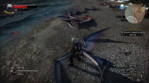 Siren Witcher 3 Bestiary