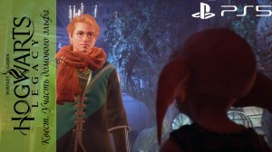 Hogwarts Legacy / Хогвартс Наследие. Квест: Участь домового эльфа на Playstation 5