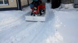 Муравей с лопатой