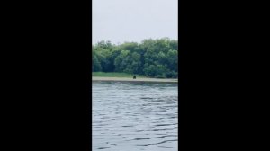 Рыбачим вместе с медведями