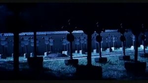 Regina Spektor - Apres moi.flv