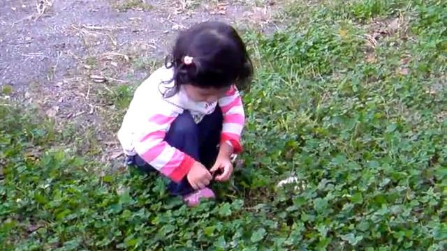 MAV 0017 смотреть онлайн