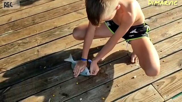 Поймали Фугу в Доминикане январь 2022 рыбалка с пристани смотреть онлайн