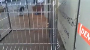 вольер из сварной сетки 2м*3м