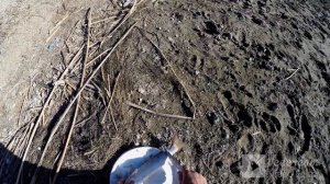 ПОИСК И ЛОВЛЯ ПЕЛЕНГАСА