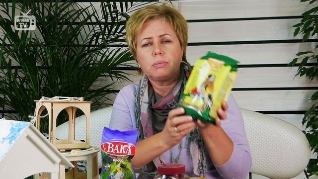 Покормите птиц зимой ? Кормушки для птиц ? Обзор HitsadTV сад огород интернет магазин
