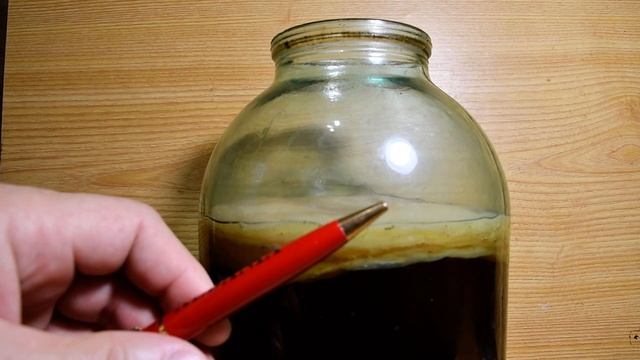 Если чайный гриб перевернулся