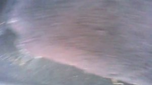 Вода в салоне Ваз 2108-09-13-14-15.