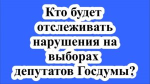 Кто будет отслеживать нарушения на выборах депутатов Госдумы?