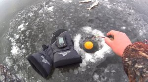 Зимняя рыбалка с эхолотом ПРАКТИК 7 RF