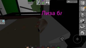 мисс лиза 1 сезон 24 часть необычная семья (получилась)