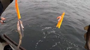 Морская рыбалка 27.01.2020. Выход на треску. Калининградская область.