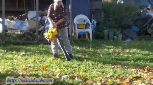 Бензиновая воздуходувка-пылесос "Champion" в женских руках. Уборка листьев воздуходувкой (ч.1)