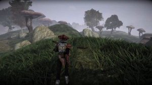 OpenMW 0.49.0 Peaceful Pelagiad ! With grass and trees !