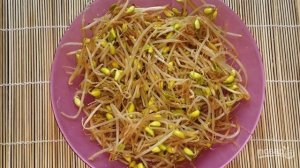 Пророщенная соя