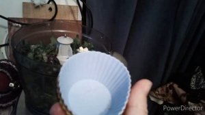 Приправа соус из листьев хрена на зиму.