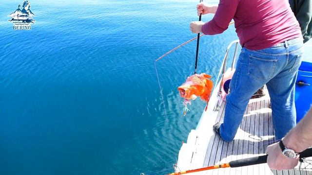 Рыбалка на Камчатке, морская рыбалка, речная рыбалка, озерная рыбалка. Fishing In Kamchatka.