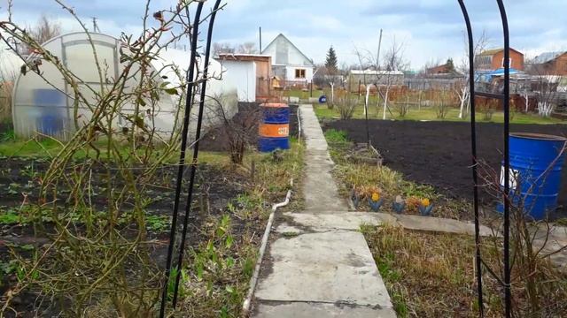 Приводим Дачу в Порядок 24 апреля / Пашем /Сажаю Гладиолусы Правильно #дача смотреть онлайн