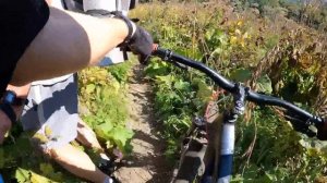 Жемчужина гор, озеро Кардывач на велосипедах.