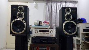 Sony SS-D501 + Sony TA-N330ES + Sony CDP-X707ES + Marantz AV9000