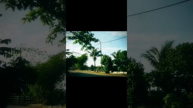 Digicam - Panasonic Lumix DMC LZ8 смотреть онлайн