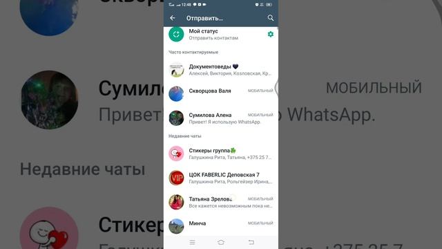 Где находится ссылка на чат ватсап смотреть онлайн