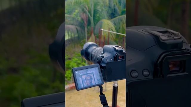 canon 650d with 55-250mm lens  joom test photography foryou video viral