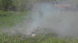 Помутнели огурцы что делать треш:)