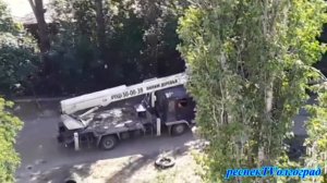 Вы что творите?! 8-й лицей "Олимпия" #Волгоград #деревья