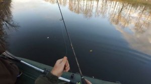Заключительное тестирование аттрактанта на хищника