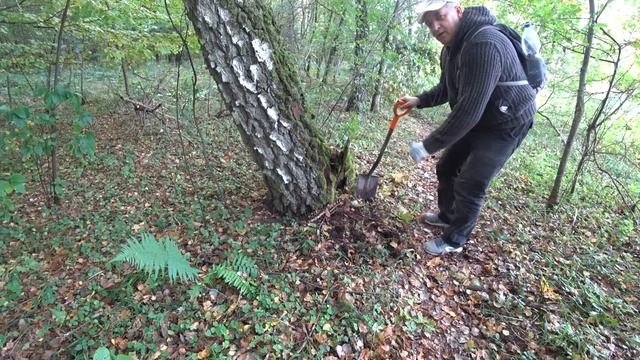 ПОИСК ПЕРСПЕКТИВНОГО МЕСТА для КОПА с МЕТАЛЛОДЕТЕКТОРОМ! НАШЕЛ РАЗВАЛИНЫ.
