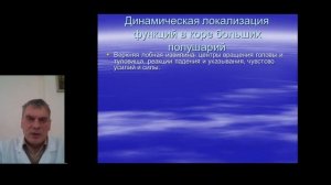 Функциональная анатомия конечного мозга. Часть 2. Кора больших полушарий
