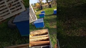 изолятор Хмары