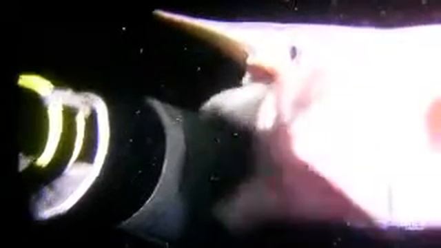 такая себе рыба водится в чёрном море смотреть онлайн