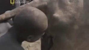 Африканские обычаи племени Динко National Geographic