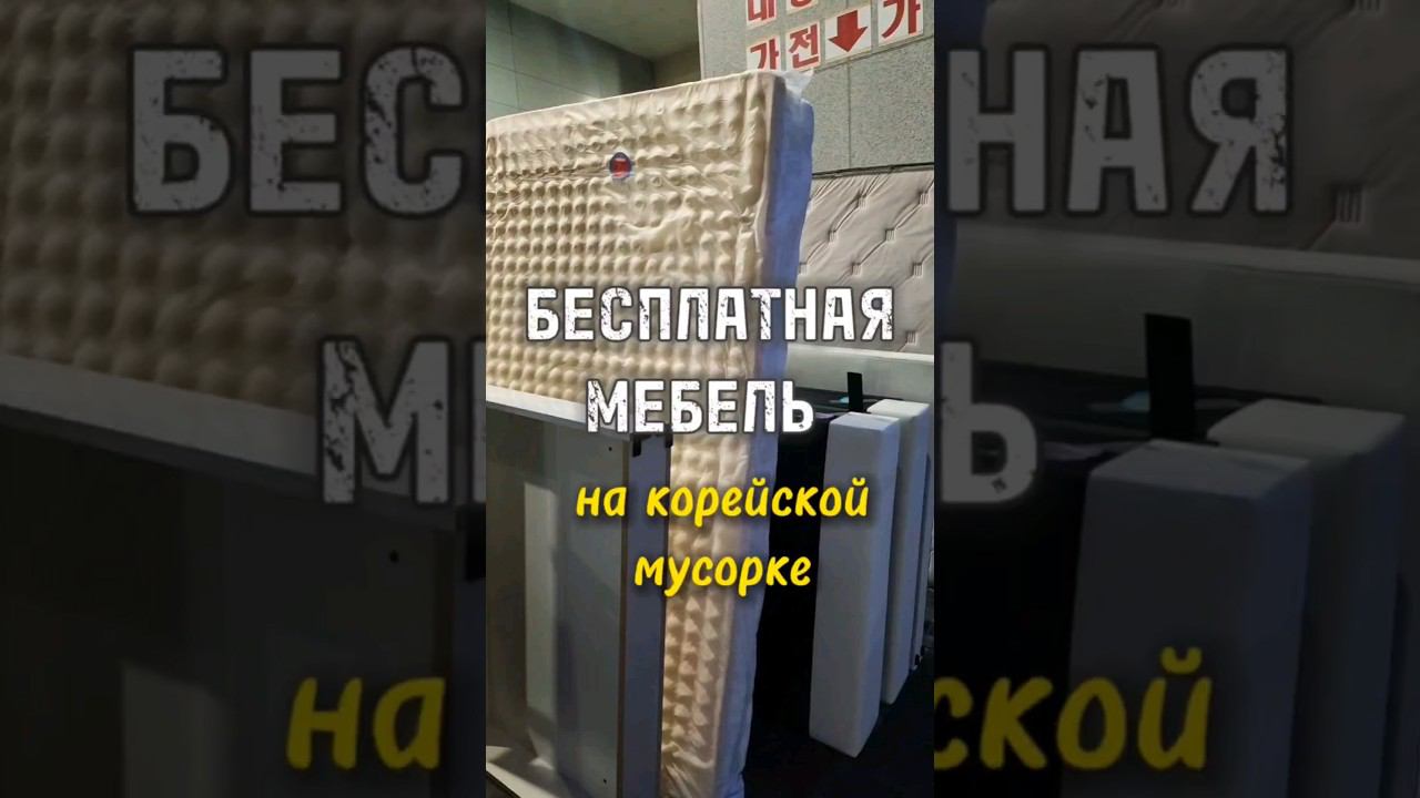 #южнаякорея #корея #жизньвкорее