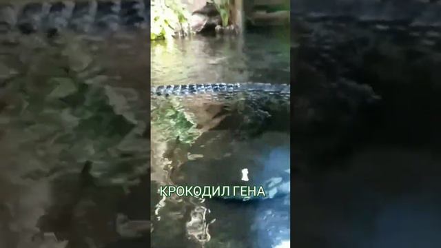 Океанариум в Санкт-Петербурге