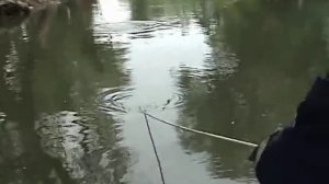 Водолазы нашли труп ребенка в реке Латорица 18+ / Divers found the body of the child