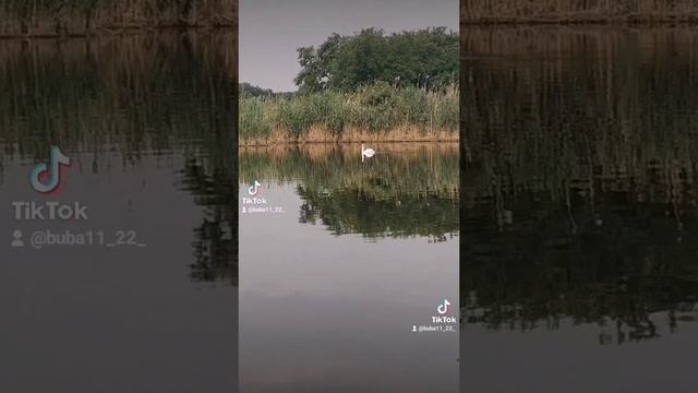 это Россия