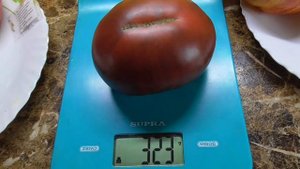 Черноплодные томаты. Томат Гигант Кубы - крупный, вкусный, с шоколадной мякотью. Дегустация.