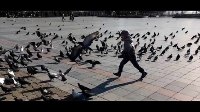 Хабаровский край Grin Price & Mr First смотреть онлайн