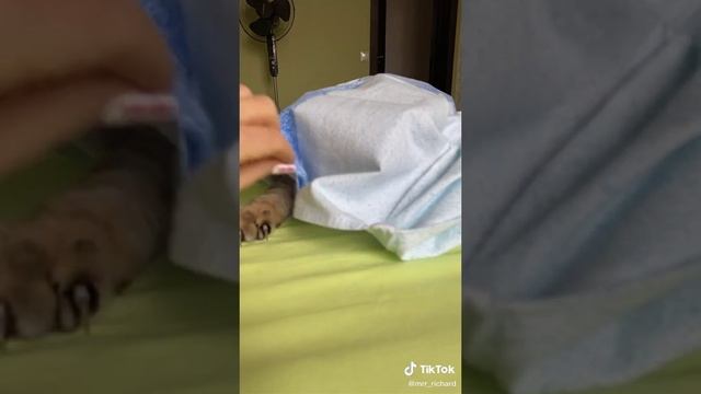 не знаю идеи закончились ??? смотреть онлайн