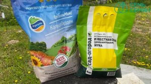Чем опасна сныть и как с ней бороться!