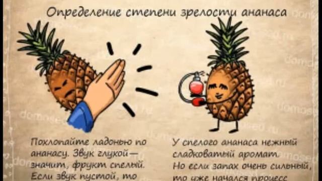 Советы от домоседа!