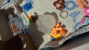 Кошачья лапка антистресс проснулась ночью