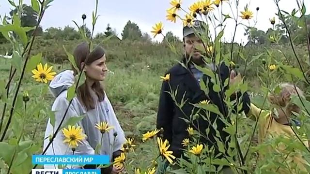 Переславский фермер научился делать хамон смотреть онлайн