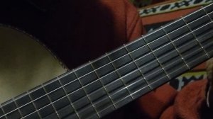 Тест гитары без лака.Материал-палисандр,кедр.